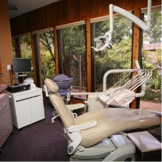 Dental treatment room with windows showing green trees